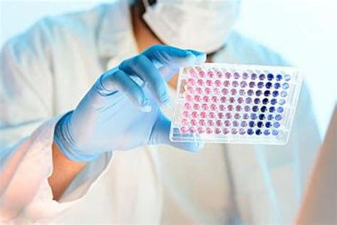 elisa test vitamin|how to calculate elisa.